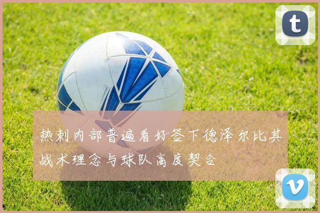 热刺内部普遍看好签下德泽尔比其战术理念与球队高度契合