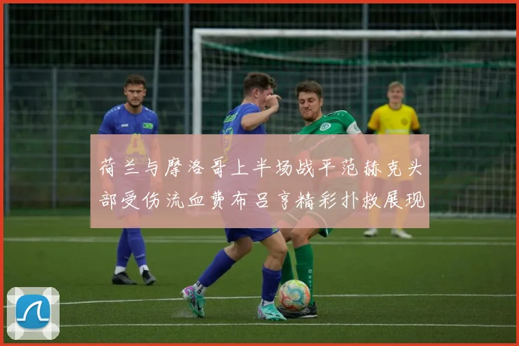 荷兰与摩洛哥上半场战平范赫克头部受伤流血费布吕亨精彩扑救展现实力